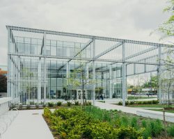 pexels-scottwebb-430212